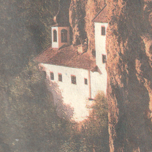 Schwalbennest am Fels