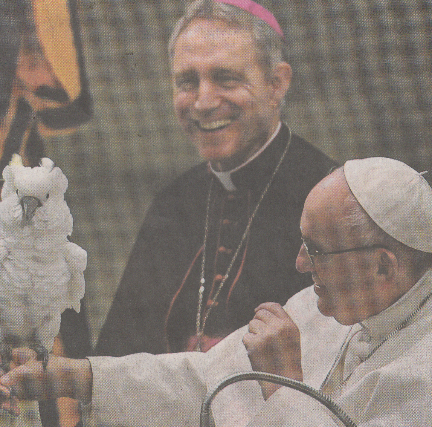 Papst mit Weißhauben-Kakadu großes Bild