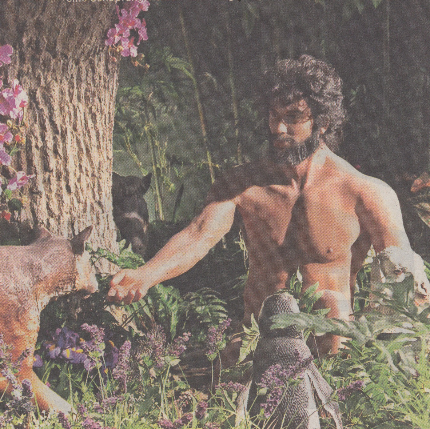 Sohn Atheist, Eltern Kreationisten